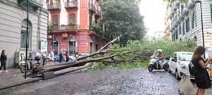 WhatsApp-Image-2024-09-09-at-08.55.53-300x135 Quartiere Vomero -albero caduto su auto in sosta che provoca copiosi danni