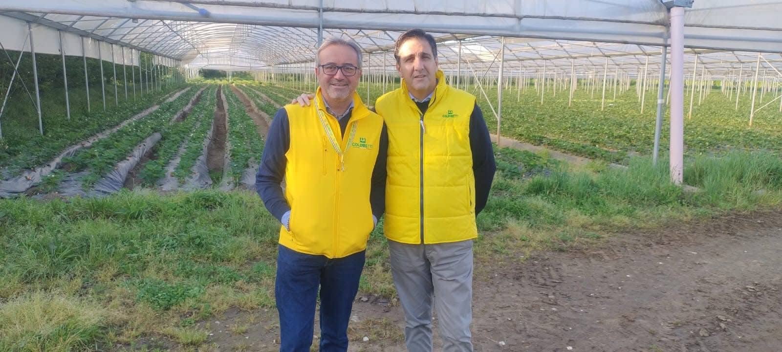 fotovoltaico a Caserta