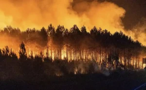 incendi-spagna-e-francia-32-2289867_800_q50-300x186 Incendi dolosi sul Monte Tifata a San Prisco nel casertano